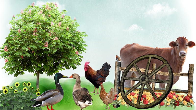 Fun on the Farm, fence, rooster, cow, ducks, country, sky, clouds, farm, tree, flowers, chickens, field, HD wallpaper