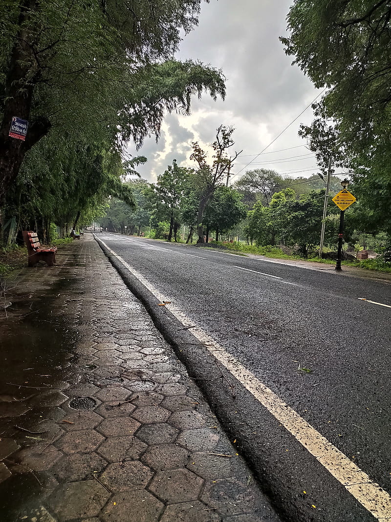 Rainy road, footpath, india, kothi road, nature, graphy, rain, rainyroad, season, sky, ujjain, HD phone wallpaper