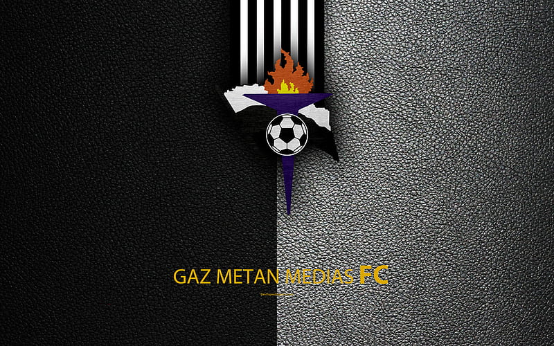 Gaz Metan Medias, logo, leather texture Romanian football club, Liga I, First League, Mediash, Romania, football, HD wallpaper