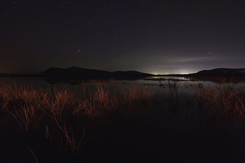 lake, night, starry sky, grass, darkness, HD wallpaper