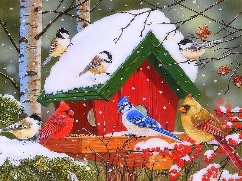 Winter Feast, Christmas, holidays, love four seasons, birds, attractions in dreams, birdhouses, xmas and new year, winter, snow, winter holidays, animals, HD wallpaper