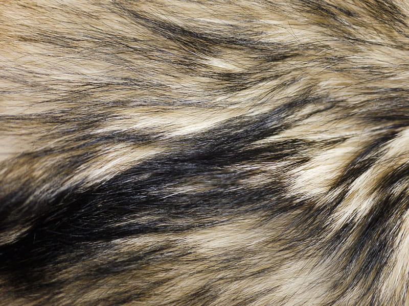 wolf fur, w10, w, ws, ww, HD wallpaper