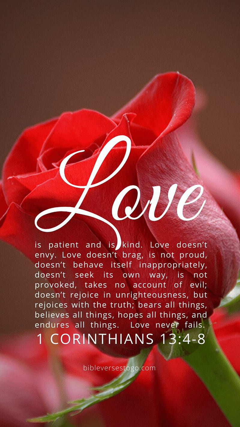 1 Corinthians 134 ASV Mobile Phone Wallpaper  Love suffereth long and  is kind love envieth