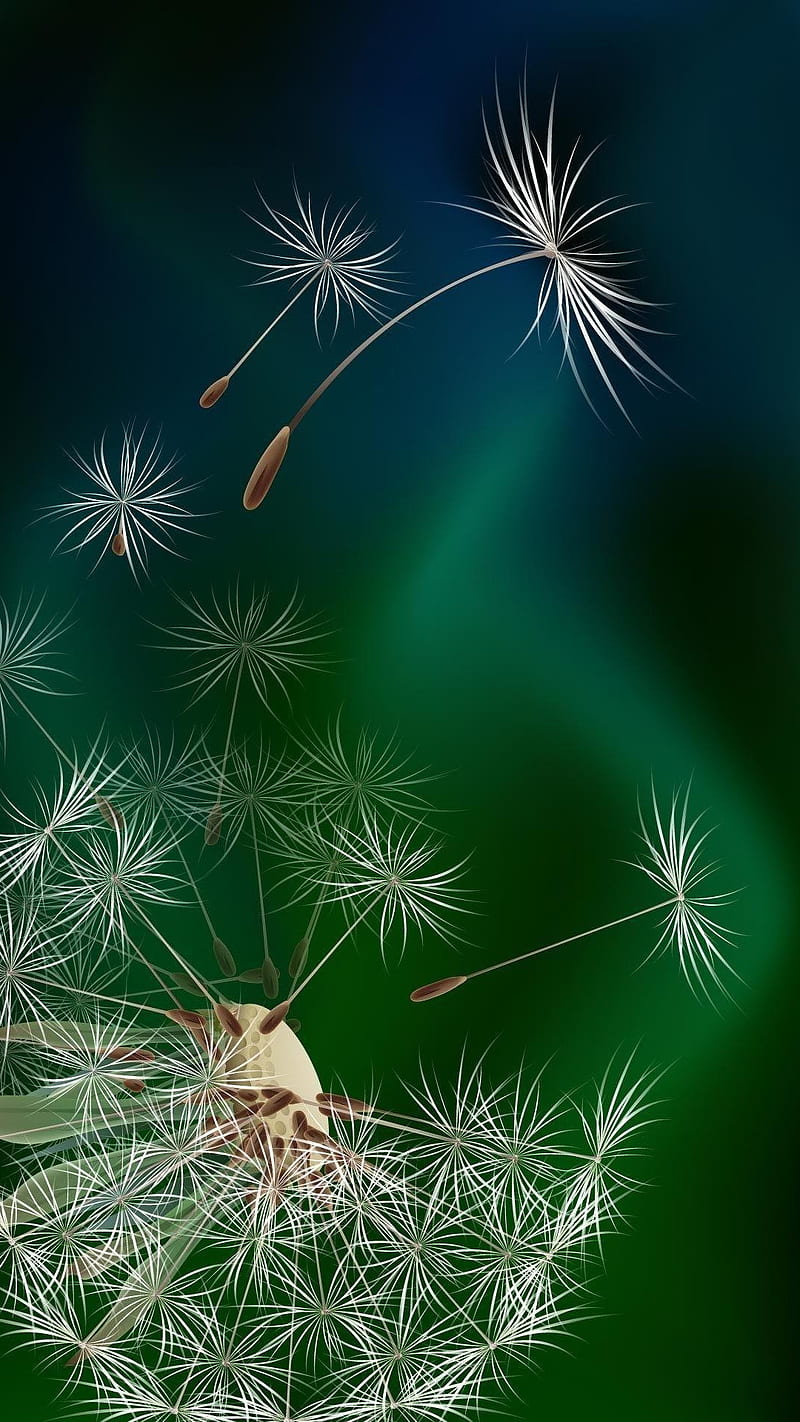 Dandelion , art, nature, dandelion, green, best, nice, bonito, HD phone wallpaper