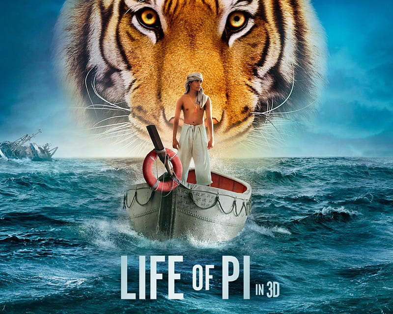 Life Of Pi, pi, movie, Life, of, HD wallpaper | Peakpx