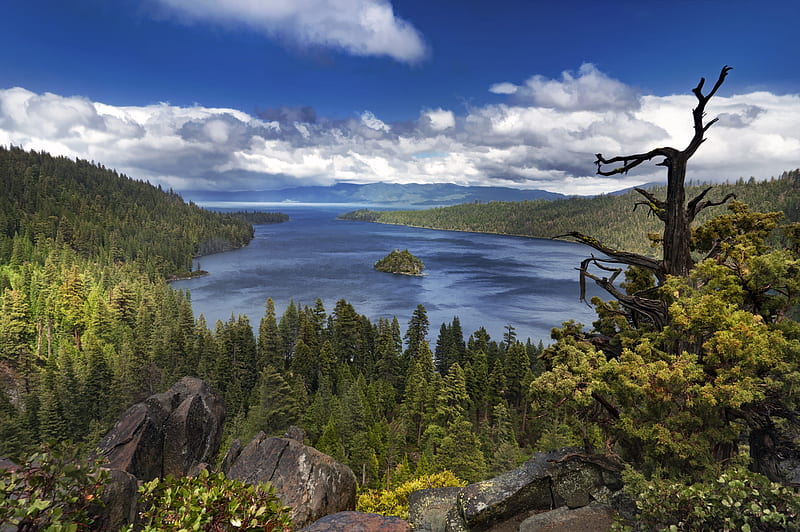 Lakes, Lake Tahoe, Cloud, Forest, Lake, Landscape, Nature, USA, HD wallpaper