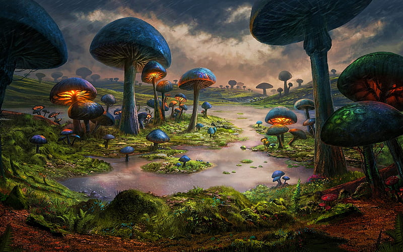Fantastic forest, 3D art, mushrooms, valley, river, fantasy HD | Peakpx