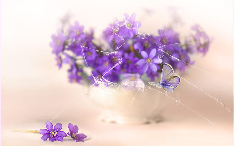still life, pretty, wet, vase, bonito, drops, graphy, nice, butterfly, gentle, flowers, beauty, blue, harmony lovely, delicate, elegantly, glass, cool, purple, bouquet, flower, insect, lila, HD wallpaper