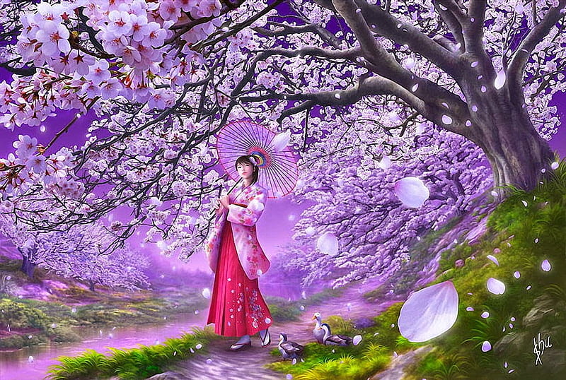 Japanese Spring, park, trees, girl, cherry, blossoms, HD wallpaper