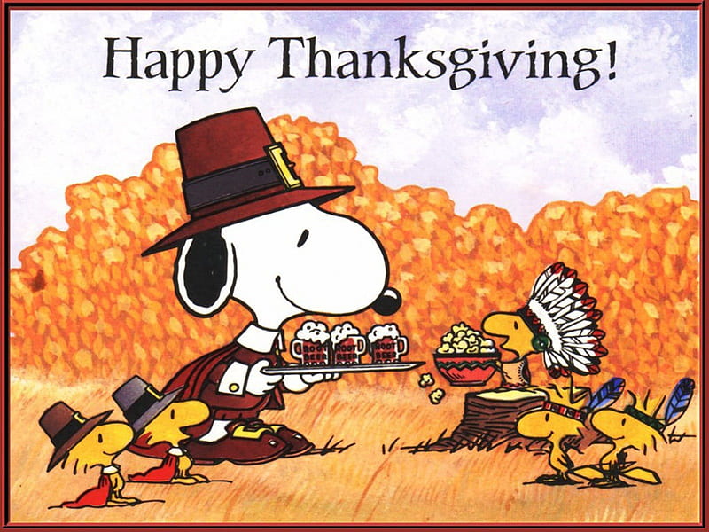 A Snoopy Thanksgiving, popcorn, Fall, root beer, soda, Snoopy, Woodstock,  Happy Thanksgiving, HD wallpaper | Peakpx