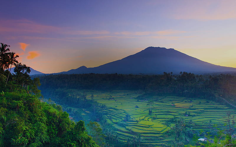Bali sunset, volcano, rice fields, Benoa, Indonesia, HD wallpaper