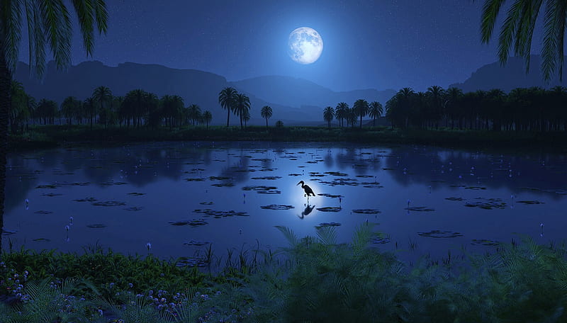 Moonlit Waters, Scenic, evening, fantasy art, Night, Stork, Pond, Enchanting, moon, water, darkness, HD wallpaper