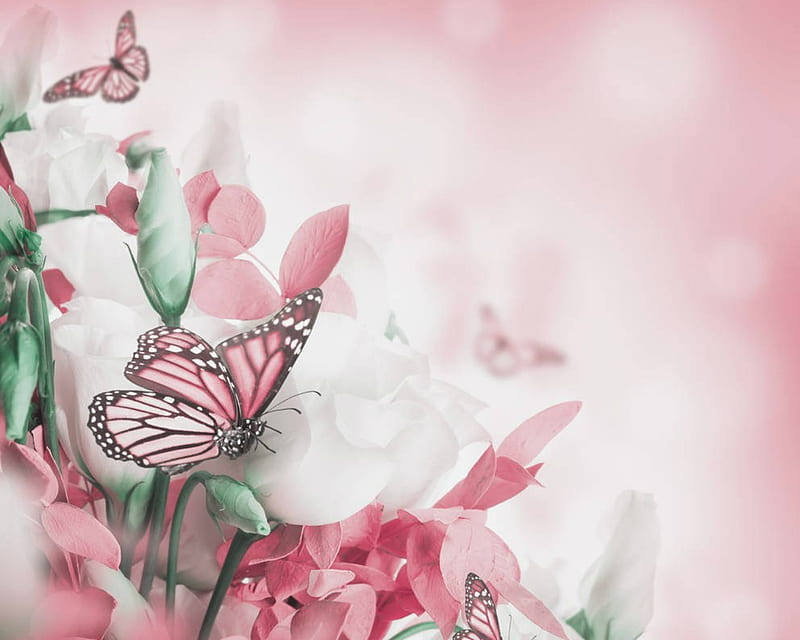 Depth of Nature, flowers, butterfly, bloom, patals, HD wallpaper | Peakpx