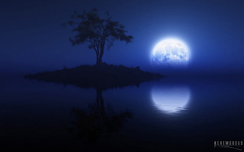 NIGHT OF THE BLUE MOON, BLUE, ISLAND, MOON, REFLECTION, SKY, TREE ...
