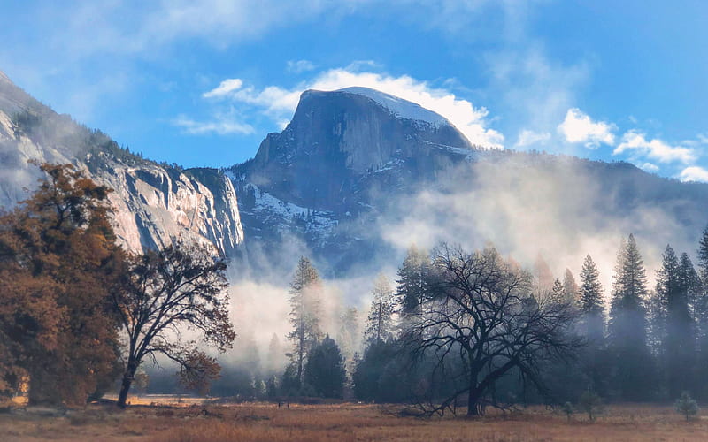 Cook's Meadow, Yosemite NP, trees, usa, california, river, sky, mist, HD wallpaper