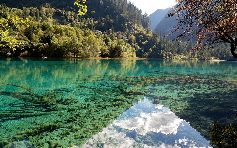 emerald lake, mountains, blue lake, forest, summer, china, HD wallpaper