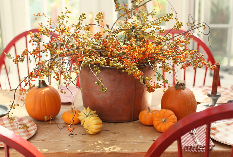 ~September Moments~, table, fall, september, autumn, lovely, grpahy, orange, bonito, gourds, still life, pumpkin, pumpkins, HD wallpaper