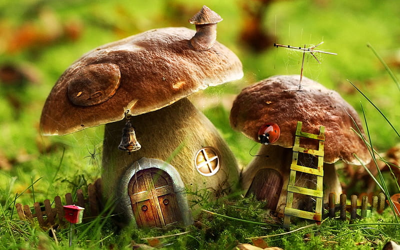 Mushroom House, mushroom, ladybug, house, grass, HD wallpaper