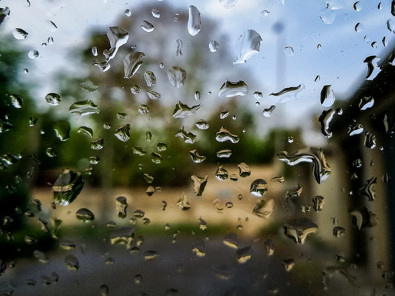 rain, water, pure, 2019, morning, awesome, bonito, nature, sad, HD wallpaper