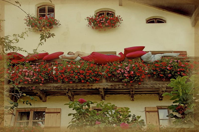 resting place in red flowers, red pillows, house, wooden balcony, flowers windows, red flowers, bonito, resting man, funny, HD wallpaper