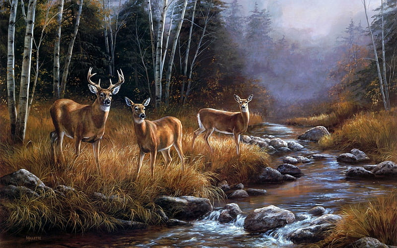 Rosemary Millette, forest, stream, art, fog, october mist, deer, painting, river, landscape, HD wallpaper