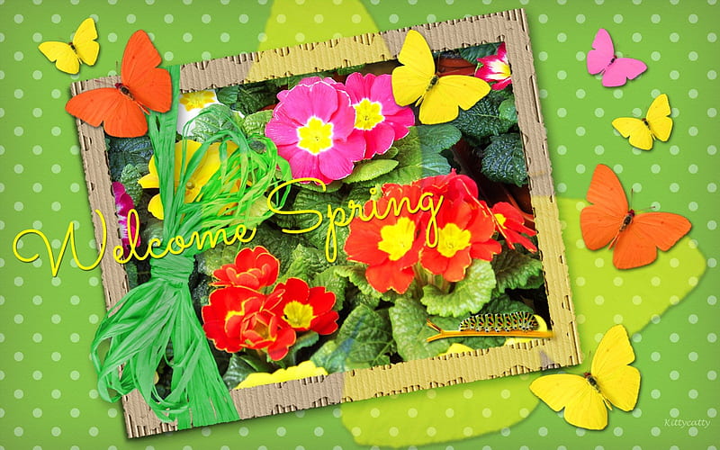 ✽ ❀ ✿ Welcome Green Spring ✽ ❀ ✿ , primroses, sun, dots, welcome, butterflies, spring, bow, collage, green, garden, HD wallpaper