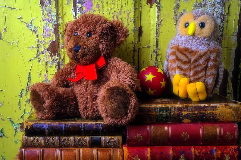 ฺBear & Owl on Books, lovely still life, owl, still life, graphy, books, love four seasons, teddy bear, HD wallpaper