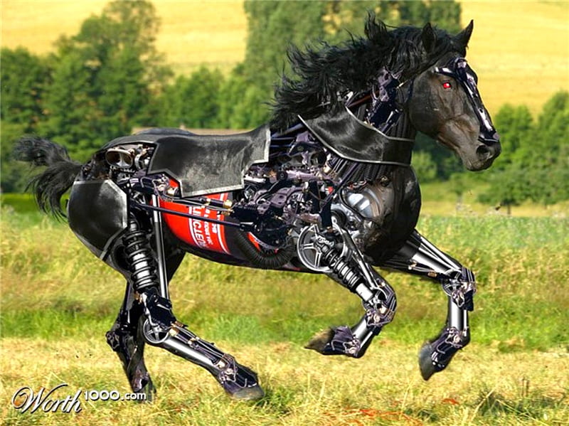 Mechanical Horse, cool, HD wallpaper