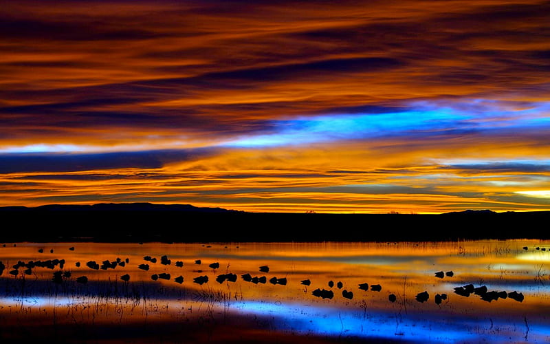 GORGEOUS DAWN, USA, dawn, New Mexico, birds, sky, clouds, lake, preserve, morning, reflection, HD wallpaper