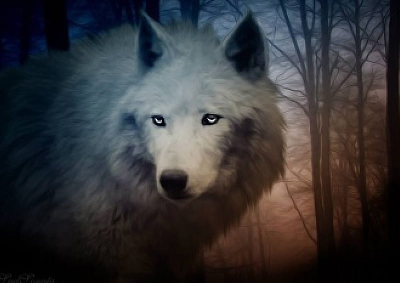 Wolf, canislupus, wolf art, black, saying, timber, wolves, white ...