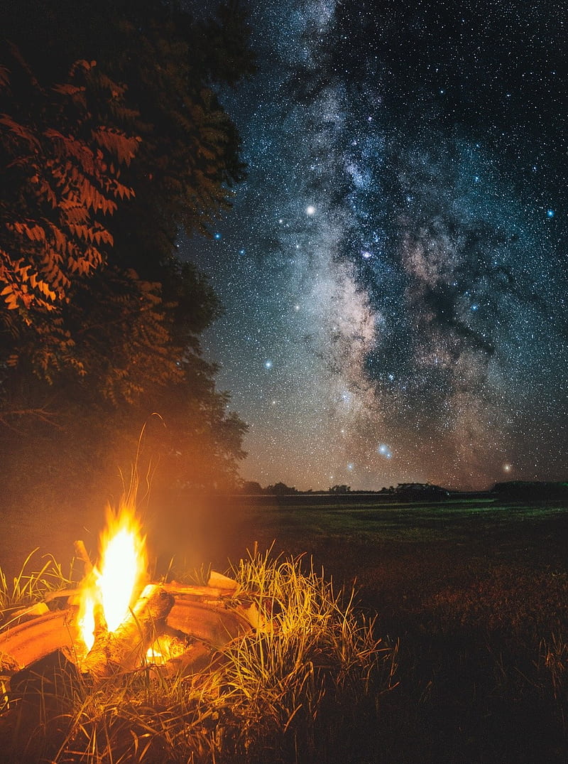 Fire Stars, fire, galaxy, nature, grass, woods, adventure, yellow, campfire, usa, HD phone wallpaper