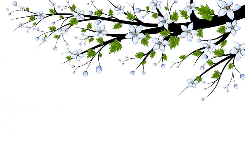 Spring In Bloom, wonderful, bloom, early, fresh, pure, spring, branch, energy, green, heavenly, love, siempre, nature, white, HD wallpaper