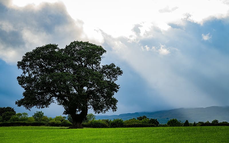 North Wales UK, After the storm, landscape, clouds, trees, sunrays, HD wallpaper
