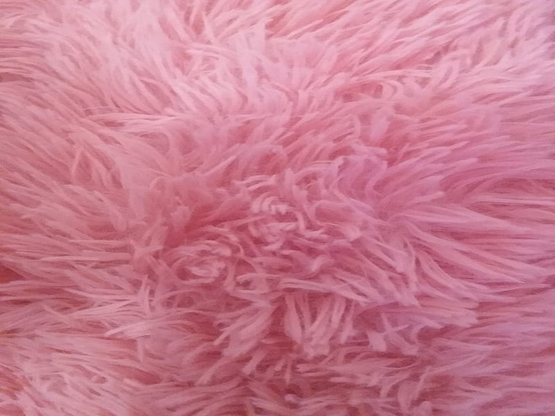 Pink Fur Wallpapers  Top Free Pink Fur Backgrounds  WallpaperAccess