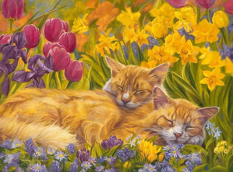 Nap time, art, sleep, daffodils, yellow, nap, cat, painting, flower, garden, tulips, pictura, pink, pisici, lucie bilodeau, couple, HD wallpaper