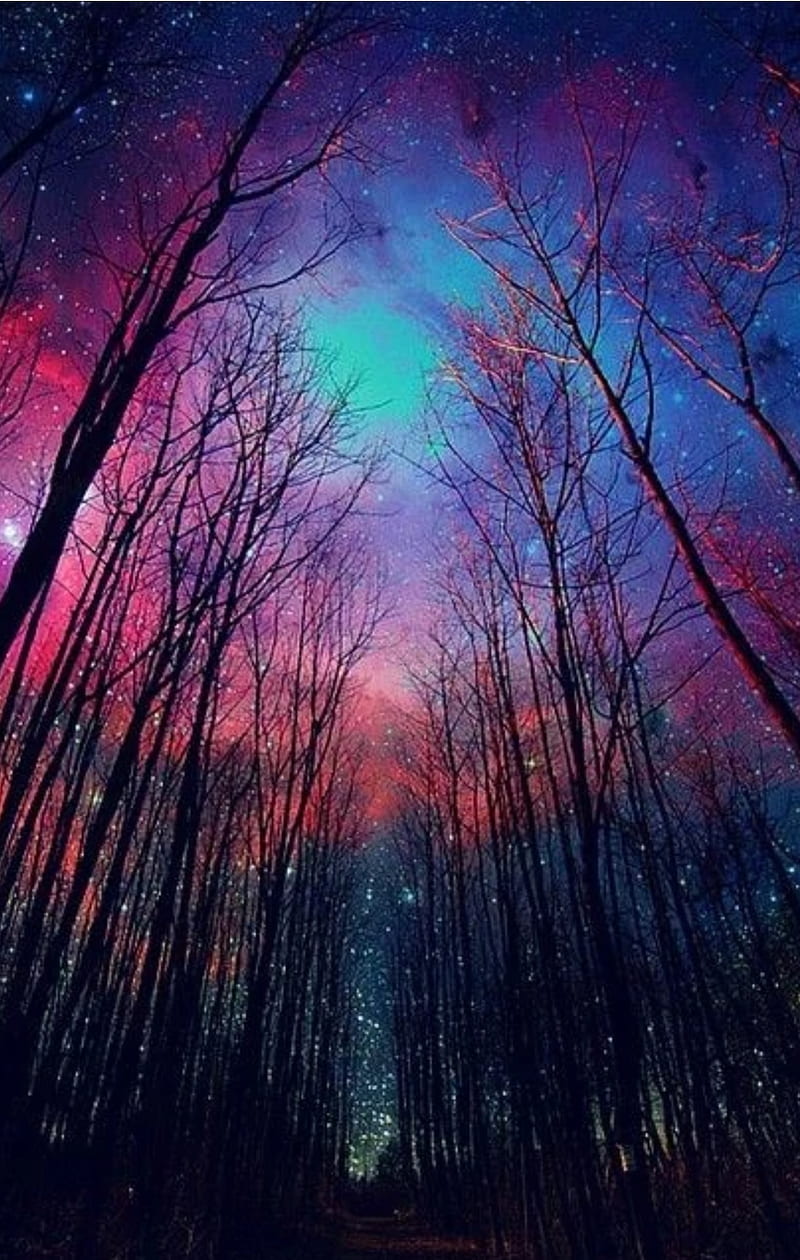 Galaxy, universe, night, nebulous, sky, HD phone wallpaper