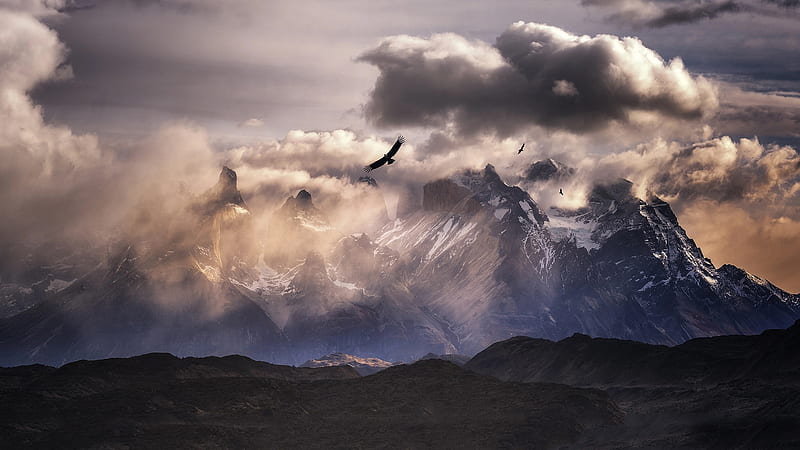 Andes Bird Cloud Landscape Mountain South America Nature, HD wallpaper