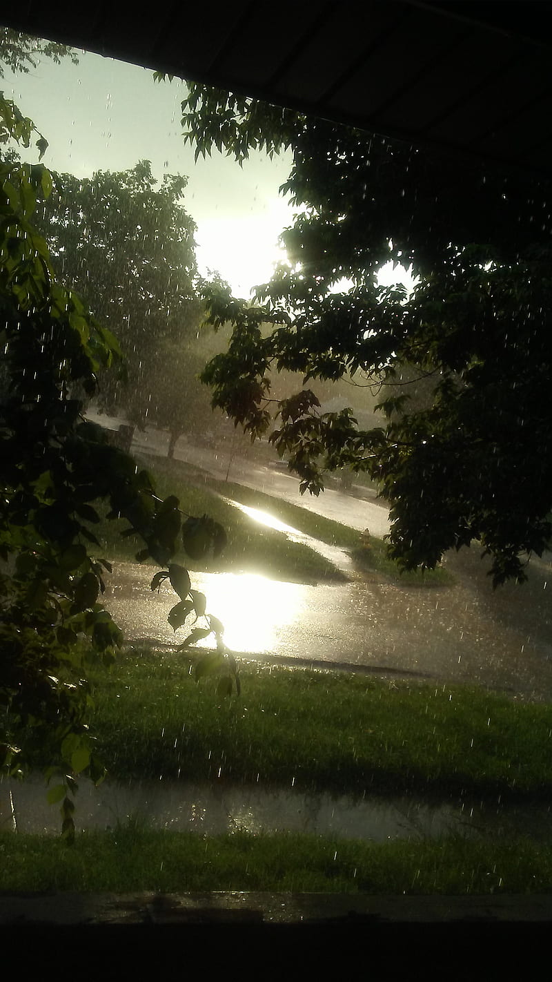 Summer rain, day, nature, rainy, season, sunshine, weather, HD phone wallpaper