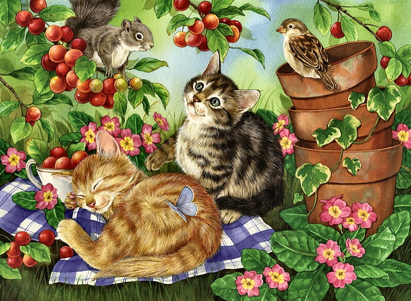 Kittens and cherries, art, sleep, pasare, cat, fruit, bird, flower, summer, kitten, cherry, pisica, HD wallpaper