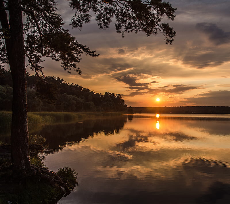 Sunset, forest, lake, rays, reflection, sun, trees, HD wallpaper