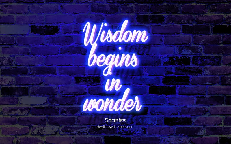 Wisdom begins in wonder, blue brick wall, Socrates Quotes, neon text, inspiration, Socrates, quotes about wisdom, HD wallpaper