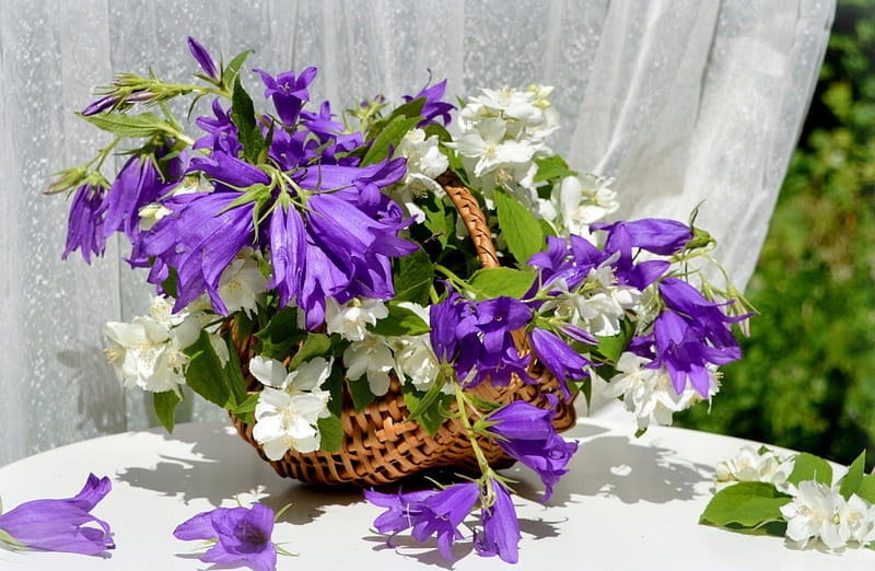 Flowers, jasmine, still life, purple, basket, flower, chimes, white, pink, HD wallpaper
