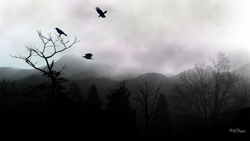 Ravens Rest, fall, haunting, autumn, fog, cold, gothic, birds, mysterious, sky, mist, winter, ravens, goth, tree, mountains, dark, misty, HD wallpaper