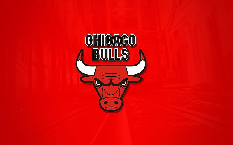 logo, chicago bulls, basketball, red background, HD wallpaper