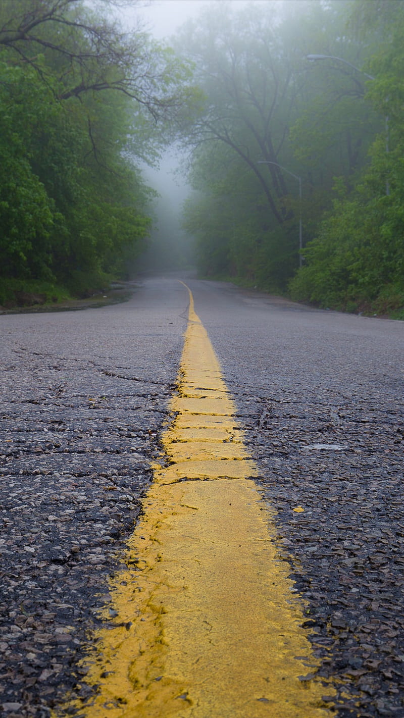 Road, asphalt, fog, foggy, green, nature, tree, trees, yellow, yellow line, HD phone wallpaper
