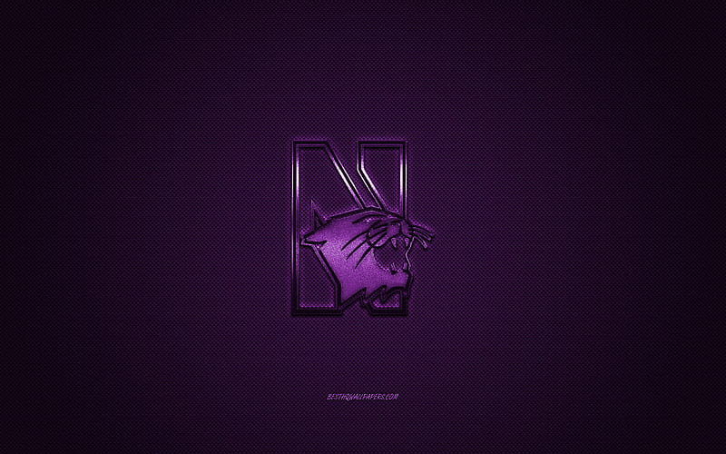 Northwestern Wildcats logo, American football club, NCAA, purple logo, purple carbon fiber background, American football, Evanston, Illinois, USA, Northwestern Wildcats, Northwestern University, HD wallpaper