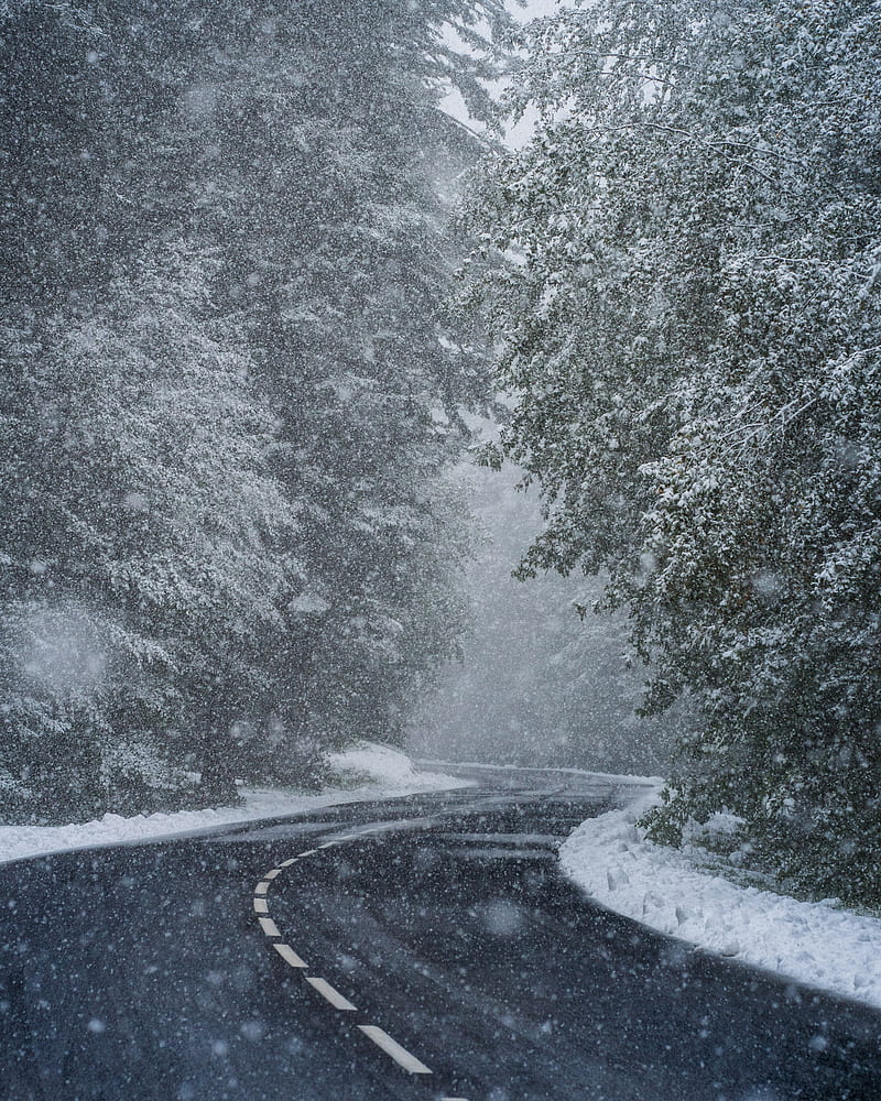 road, turn, snow, trees, blizzard, winter, HD phone wallpaper