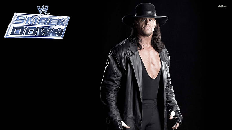 the undertaker, wrestler, man, wwe, undertaker, HD wallpaper