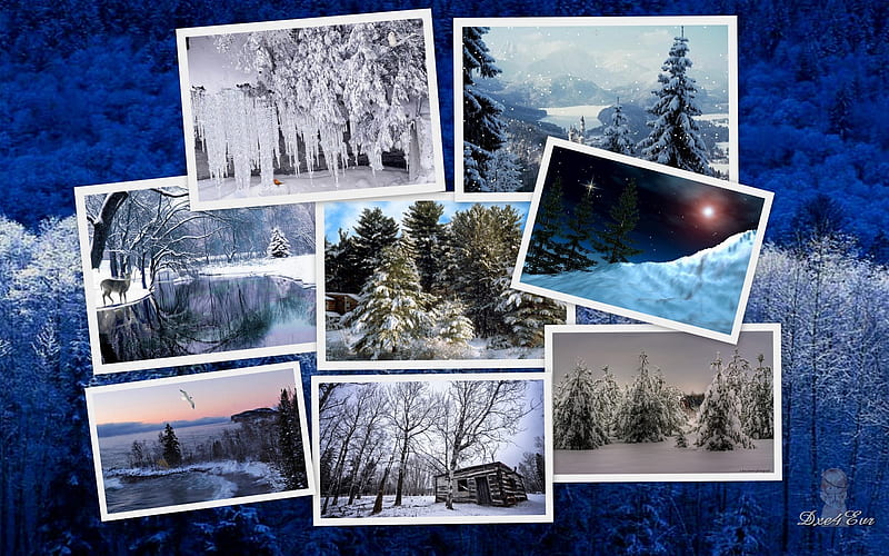 Bundle Up, , snow, ice, collage, blue, winter, cold, HD wallpaper