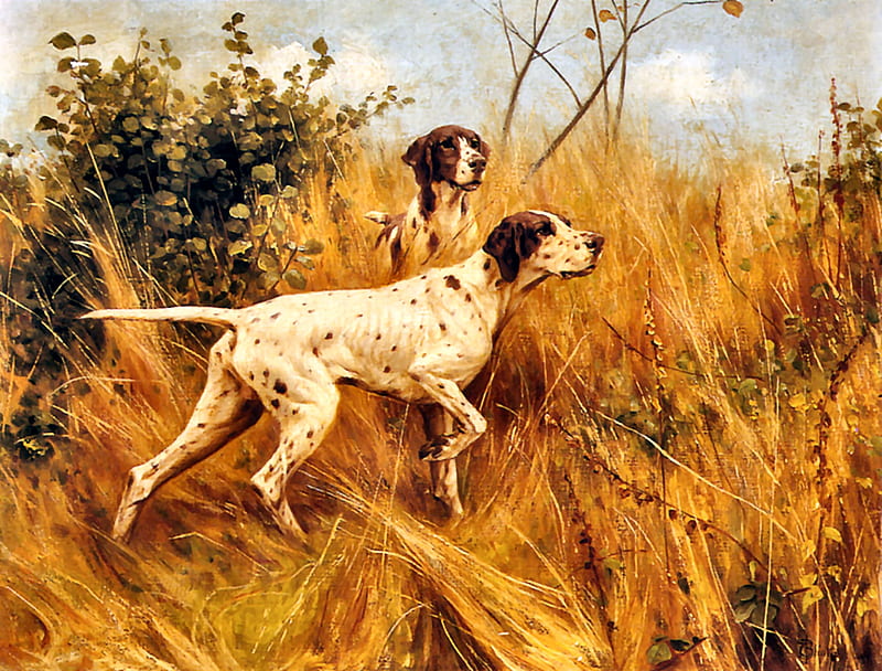 Two Pointers in a Landscape - Dogs, art, old master, bonito, pets, illustration, artwork, canine, animal, Thomas Blinks, Blinks, painting, wide screen, dogs, HD wallpaper